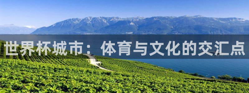 世界杯欧洲区预选赛：世界杯城市：体育与文化的交汇点