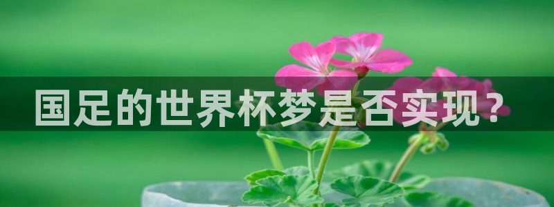 世界杯亚洲区预选赛赛程表：国足的世界杯梦是否实现？