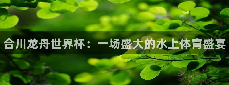 2026世界杯足球赛程时间表：合川龙舟世界杯：一场盛大的水上体育盛宴