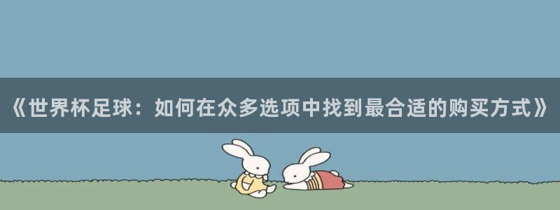 世界杯足球直播：《世界杯足球：如何在众多选项中找到最合适的购买方式》