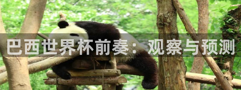 世界杯直播网站：巴西世界杯前奏：观察与预测
