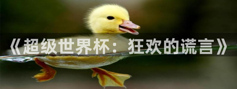 2026世界杯官网：《超级世界杯：狂欢的谎言》