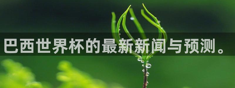 亚洲区世界杯预选赛：巴西世界杯的最新新闻与预测。