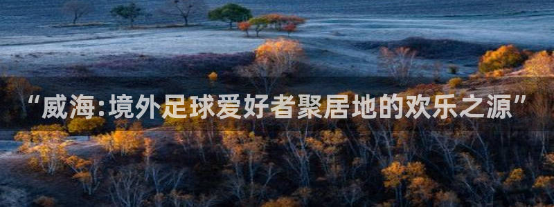 2026年男足世界杯：“威海:境外足球爱好者聚居地的欢乐之源”
