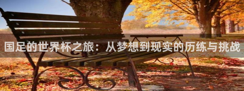 世界杯时间：国足的世界杯之旅：从梦想到现实的历练与挑战