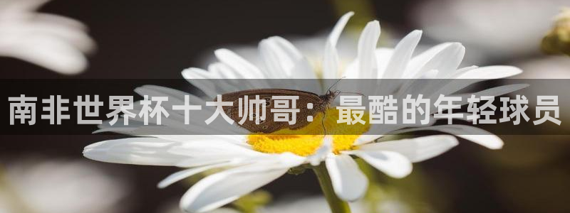 2026世界杯亚洲预选赛赛程：南非世界杯十大帅哥：最酷的年轻球员
