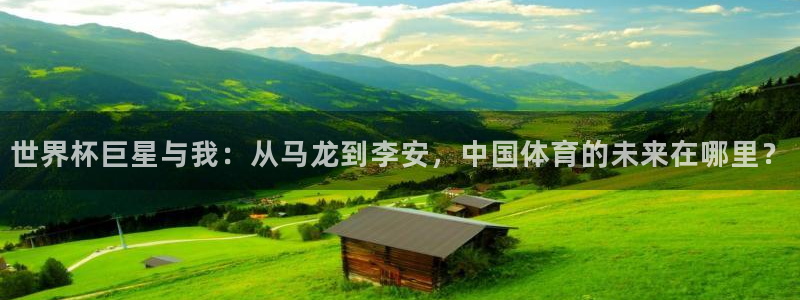 2006年世界杯：世界杯巨星与我：从马龙到李安，中国体育的未来在哪里？