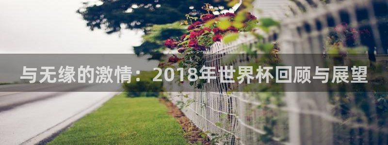 世界杯预选赛赛程时间表：与无缘的激情：2018年世界杯回顾与展望