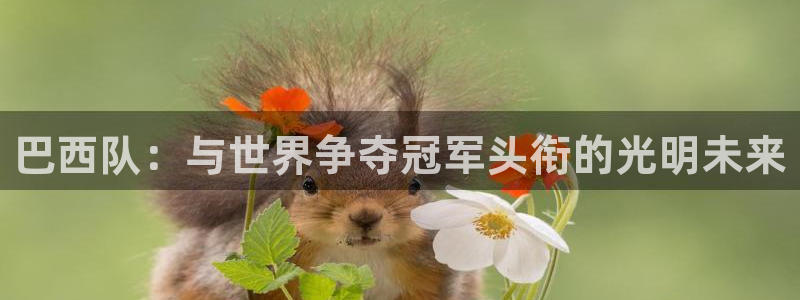 美洲杯直播：巴西队：与世界争夺冠军头衔的光明未来