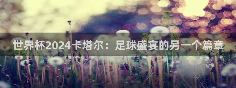 世界杯比赛时间：世界杯2024卡塔尔：足球盛宴的另一个篇章