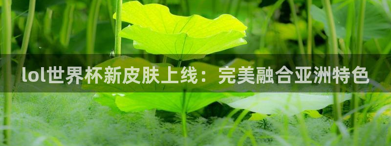 世界杯亚洲区预选赛赛程：lol世界杯新皮肤上线：完美融合亚洲特色