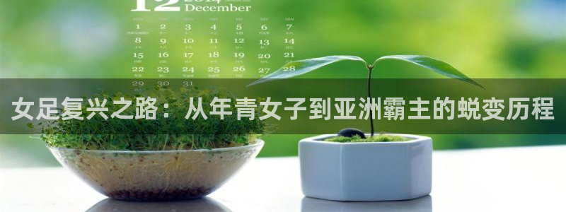 足球世界杯预选赛：女足复兴之路：从年青女子到亚洲霸主的蜕变历程