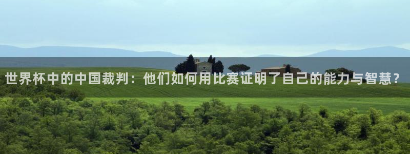 国际足联世界杯：世界杯中的中国裁判：他们如何用比赛证明了自己的能力与智慧？