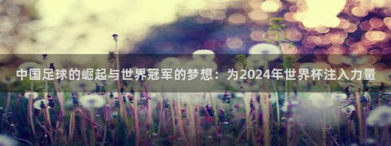 世界杯欧洲区赛程：中国足球的崛起与世界冠军的梦想：为2024年世界杯注入力量