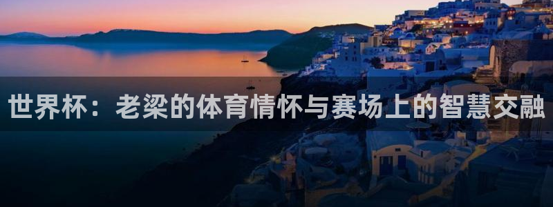 世界杯在线直播：世界杯：老梁的体育情怀与赛场上的智慧交融